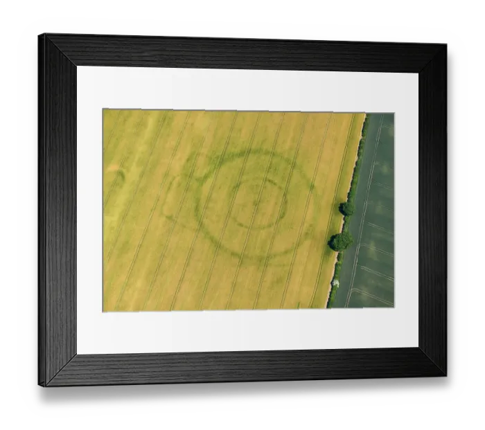 Framed Print : Cropmarks, East Riding of Yorkshire 34138_073