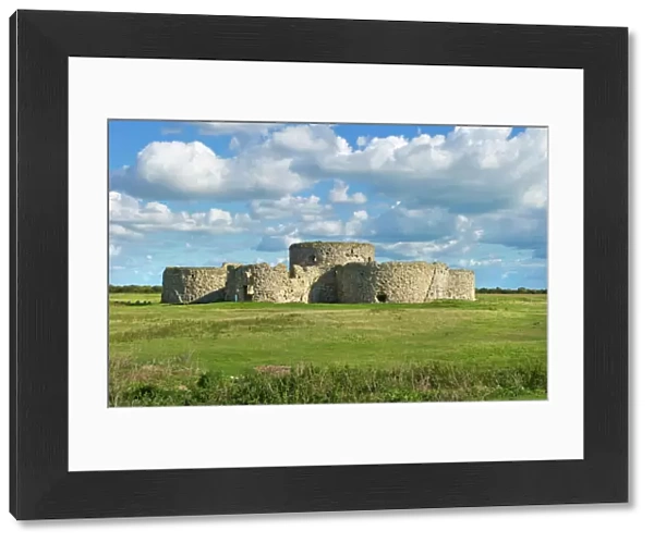 Camber Castle N100285