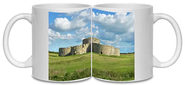 Camber Castle N100285