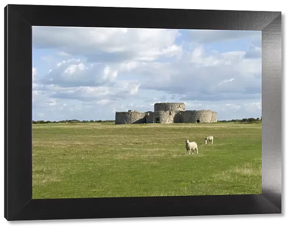 Camber Castle N100286