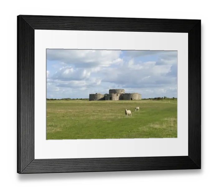 Framed Print : Camber Castle N100286