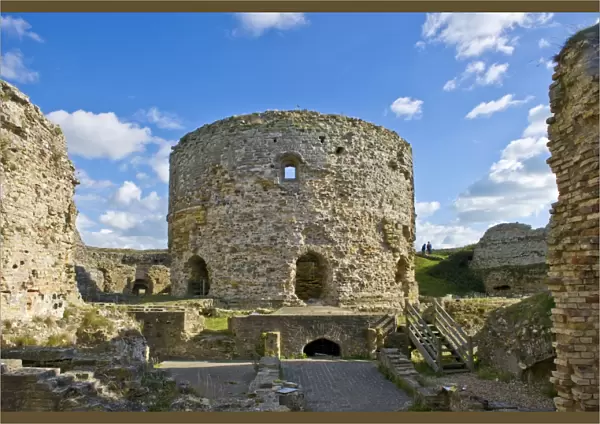 Camber Castle N100289