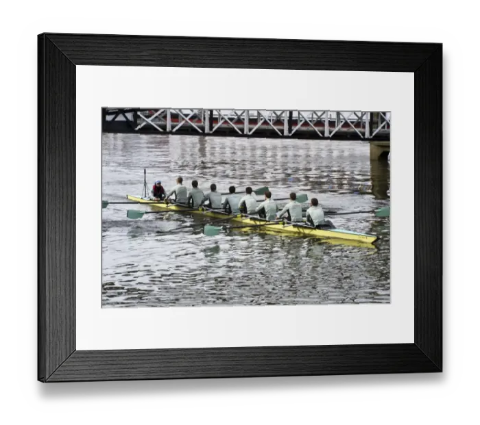 Framed Print : University Boat Race DP095328