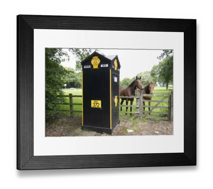 Framed Print : a telephone box DP116658