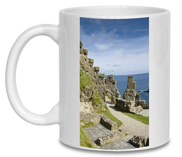 Tintagel Castle N090593
