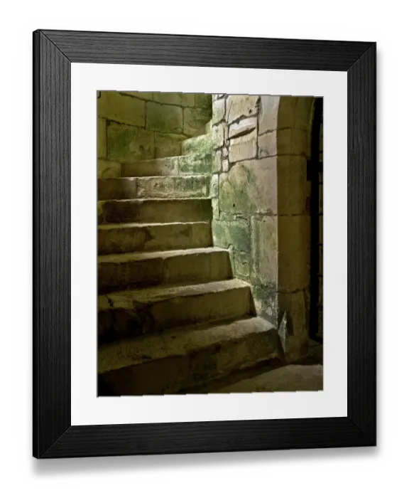 Framed Print : Old Wardour Castle N100310