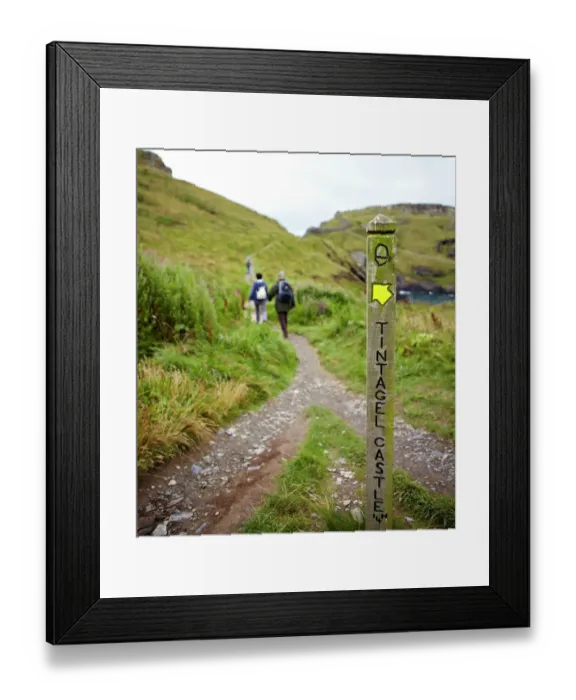 Framed Print : Coastal path, Cornwall N100385