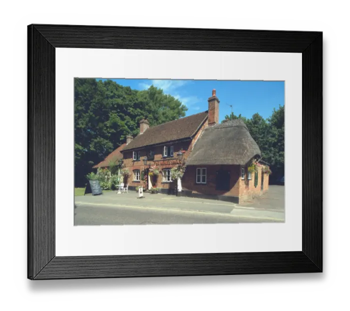 Framed Print : The White Swann