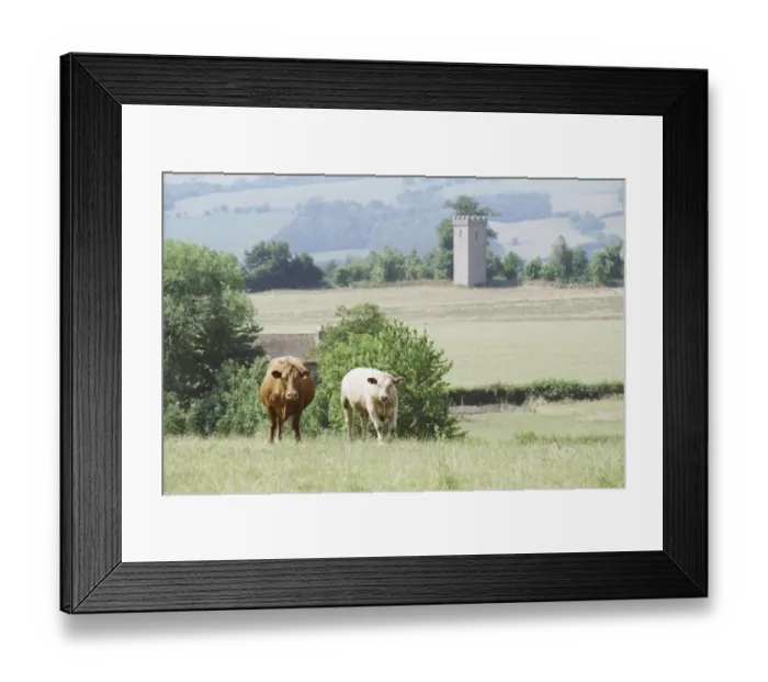 Framed Print : Water Tower