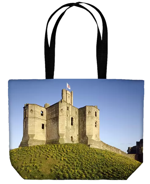 Warkworth Castle J940145