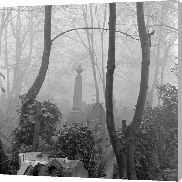 Highgate Cemetery a074602