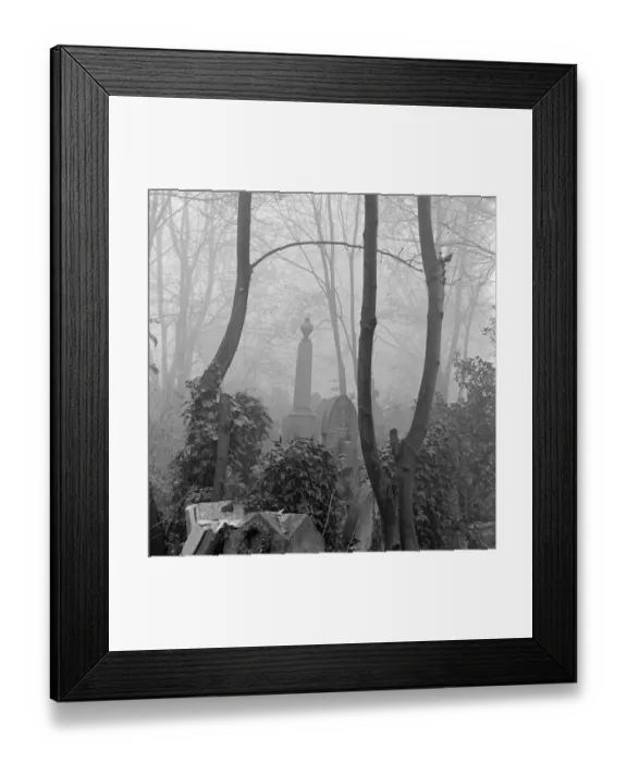 Framed Print : Highgate Cemetery a074602