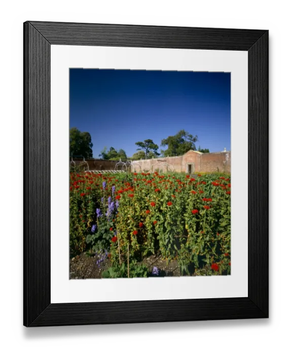 Framed Print : Osborne House gardens K040245 Framed Print : Osborne House gardens K040245