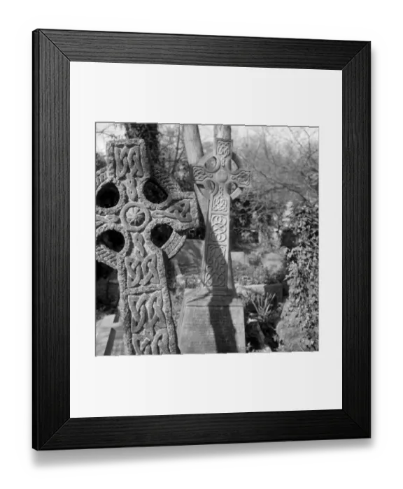 Framed Print : Highgate Cemetery a073642