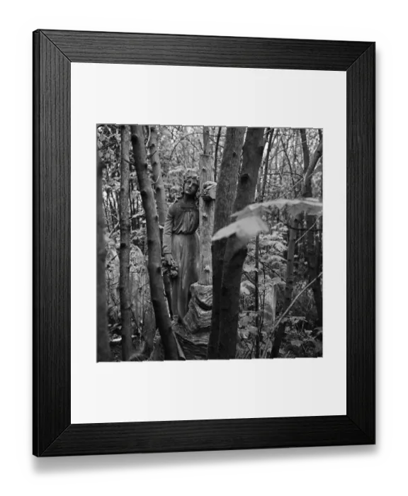 Framed Print : Highgate Cemetery a074510 Framed Print : Highgate Cemetery a074510