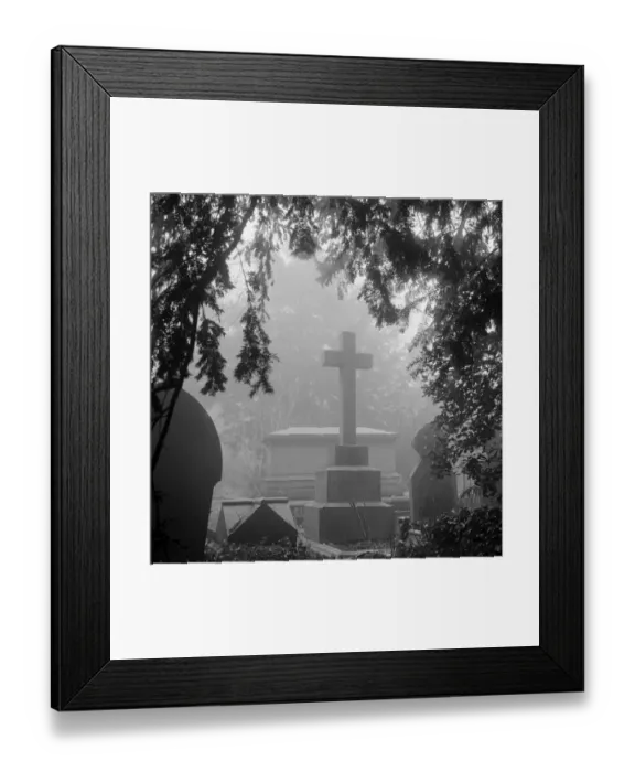 Framed Print : Highgate Cemetery a074572 Framed Print : Highgate Cemetery a074572