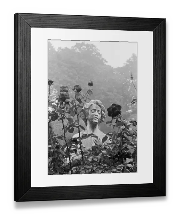 Framed Print : Highgate Cemetery MF001577_35 Framed Print : Highgate Cemetery MF001577_35