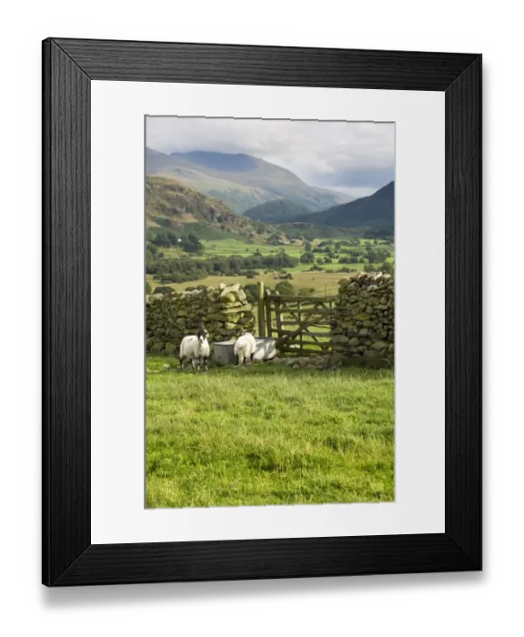 Framed Print : Cumbrian Fells N060252 Framed Print : Cumbrian Fells N060252