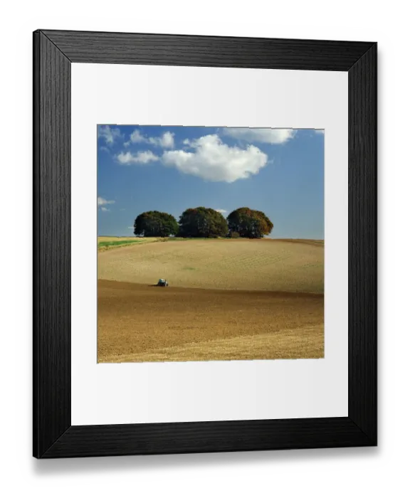 Framed Print : The Ridgeway K930754