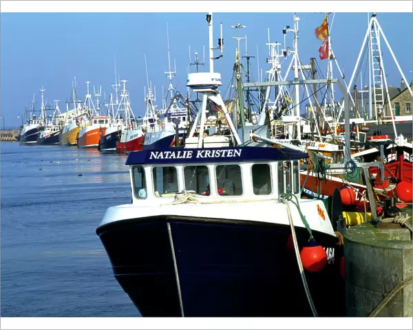 Fishing boats in Amble Harbour K011713