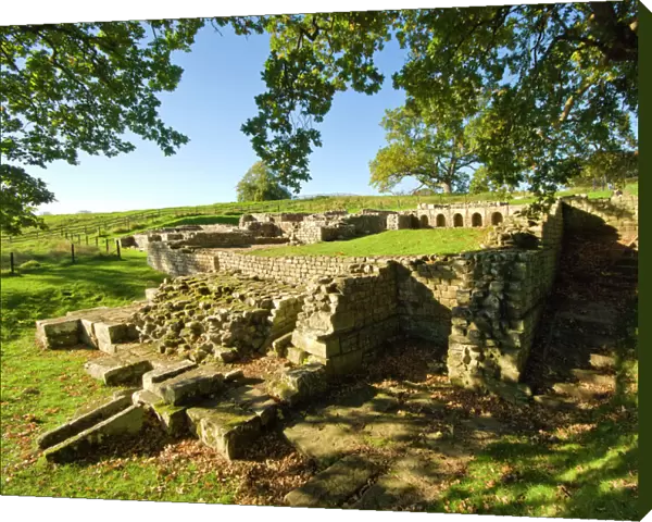 Chesters Roman Fort N100473