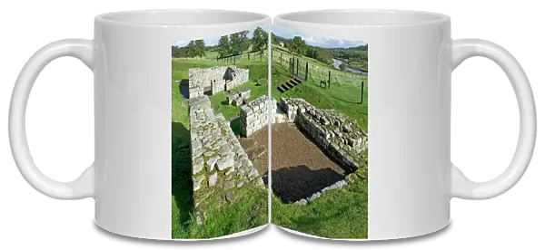 Chesters Roman Fort N100477