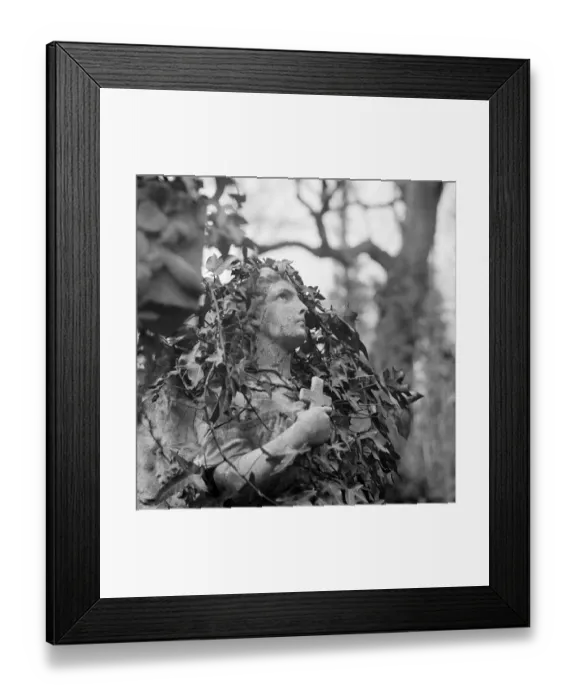 Framed Print : Highgate Cemetery a074416 Framed Print : Highgate Cemetery a074416