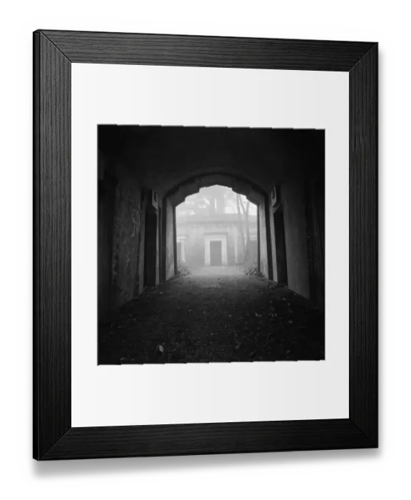 Framed Print : Highgate Cemetery a073520