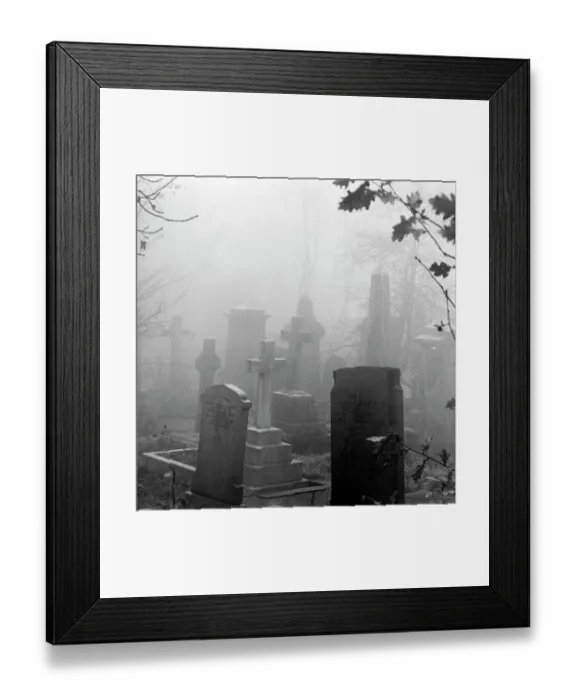 Framed Print : Highgate Cemetery a073625