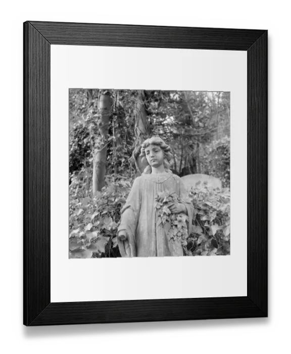 Framed Print : Highgate Cemetery a074460