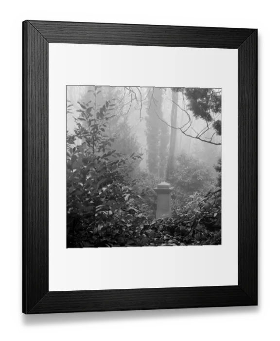 Framed Print : Highgate Cemetery a074548