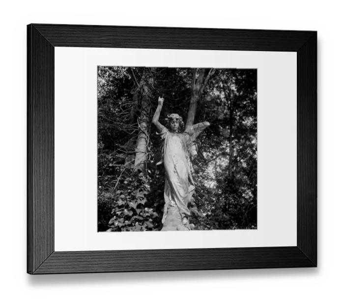 Framed Print : Highgate Cemetery a074736 Framed Print : Highgate Cemetery a074736