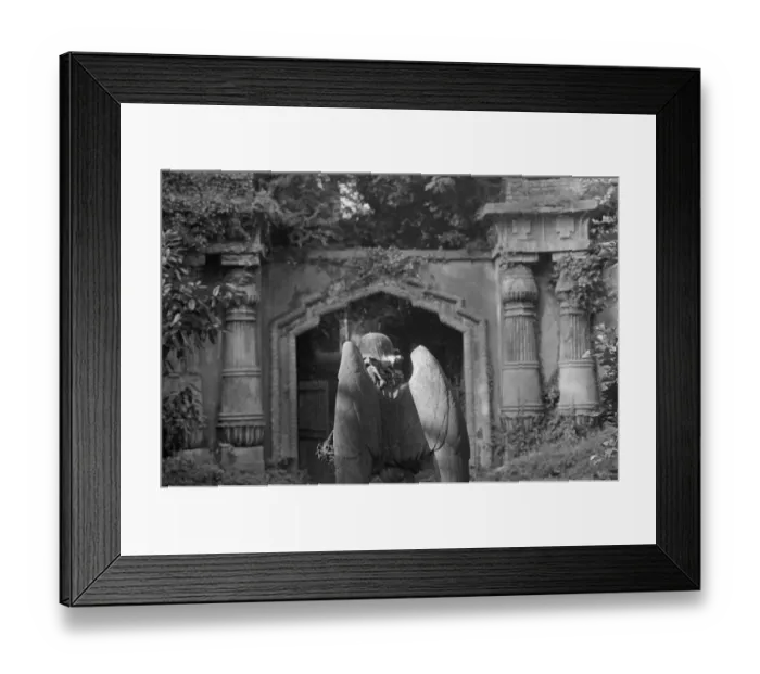 Framed Print : Highgate Cemetery MF001688_27