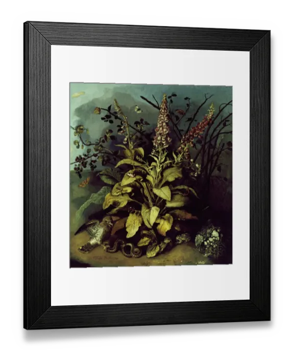 Framed Print : Hughes - Still Life J970161