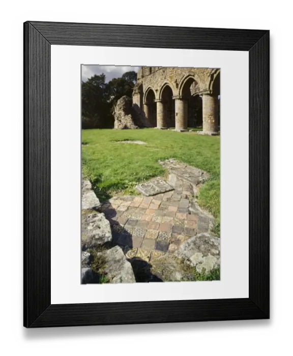 Framed Print : Buildwas Abbey K021234 Framed Print : Buildwas Abbey K021234