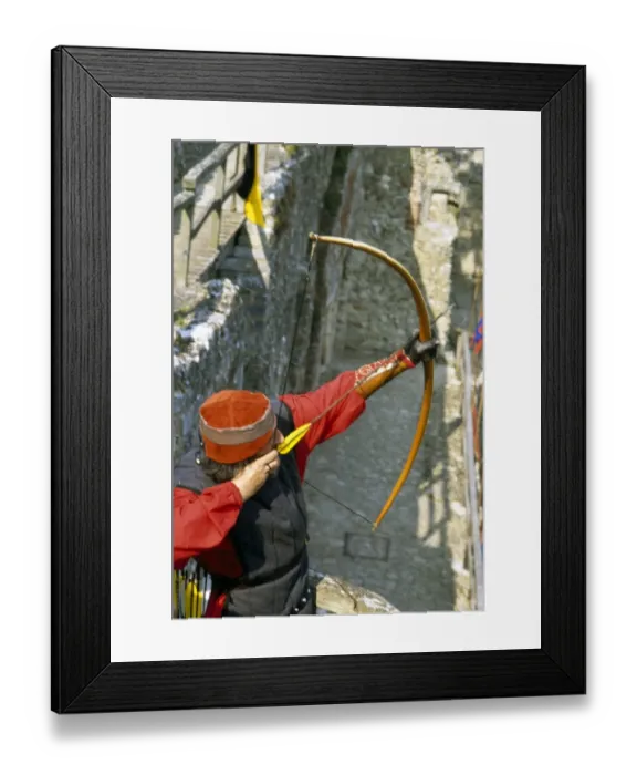 Framed Print : Carisbrooke Castle M875709