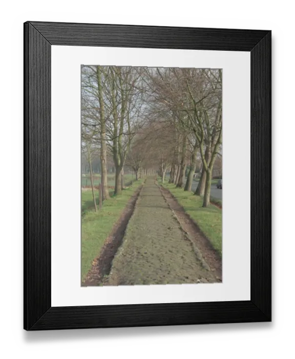 Framed Print : Raised Causeway Framed Print : Raised Causeway