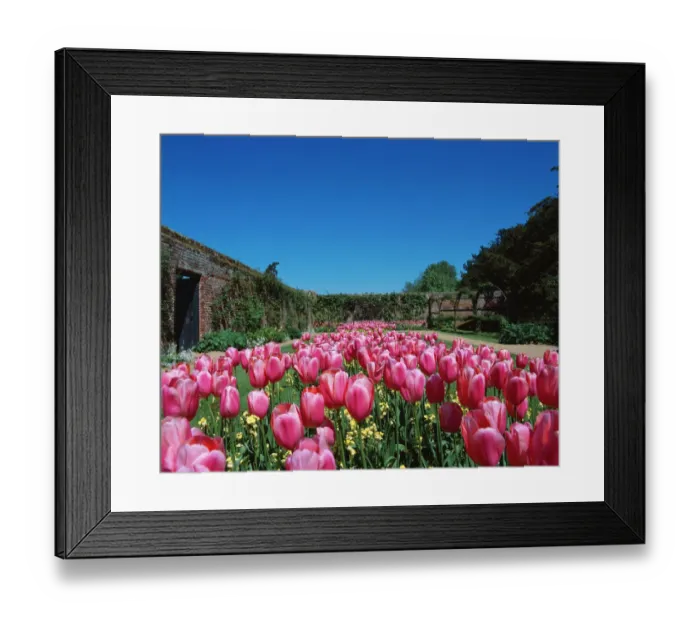Framed Print : Audley End Gardens K040186