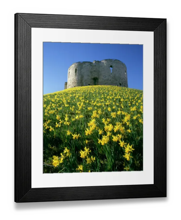 Framed Print : Cliffords Tower K980218