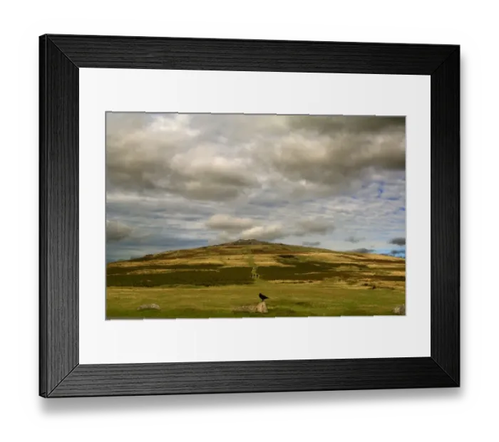Framed Print : Dartmoor N040023
