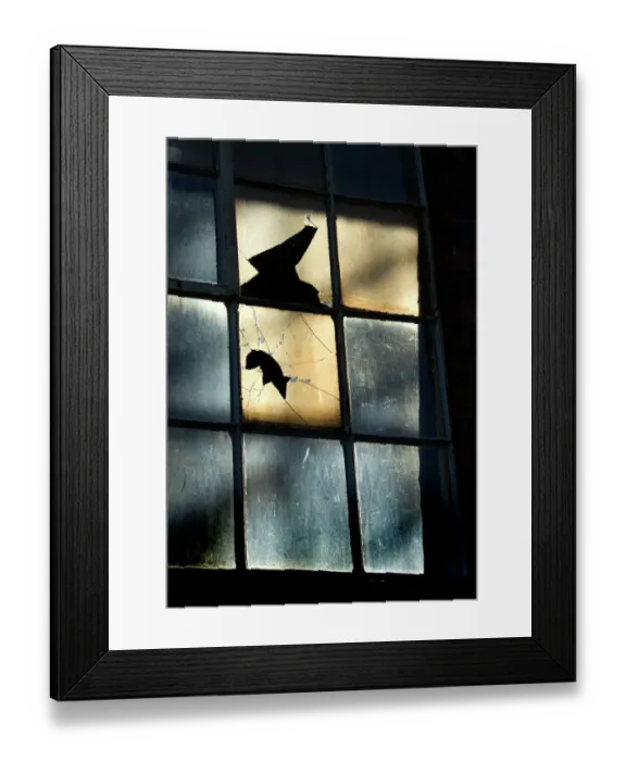 Framed Print : Broken windows DP032290