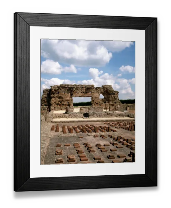 Framed Print : Wroxeter Roman City J900276