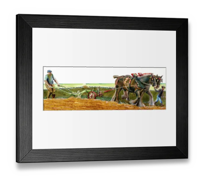 Framed Print : Ploughing J910039