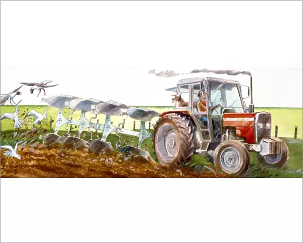 Ploughing J910040