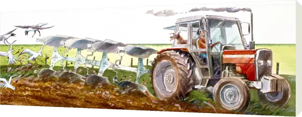 Ploughing J910040