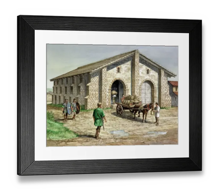 Framed Print : Housesteads Roman Fort J000119