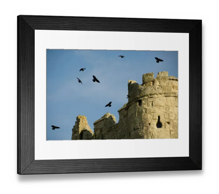 Framed Print : Carisbrooke Castle N072050