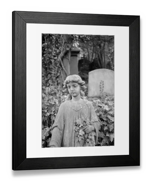 Framed Print : Highgate Cemetery MF001788_03 Framed Print : Highgate Cemetery MF001788_03