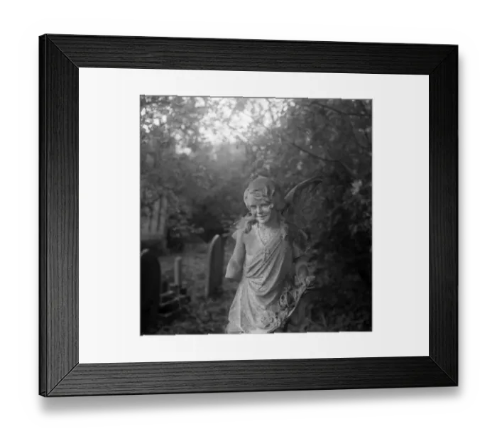 Framed Print : Highgate Cemetery a074756 Framed Print : Highgate Cemetery a074756