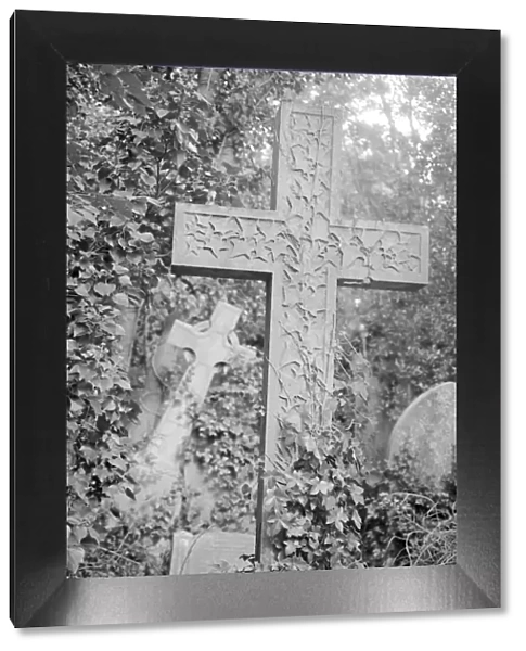 Highgate Cemetery MF001803_30